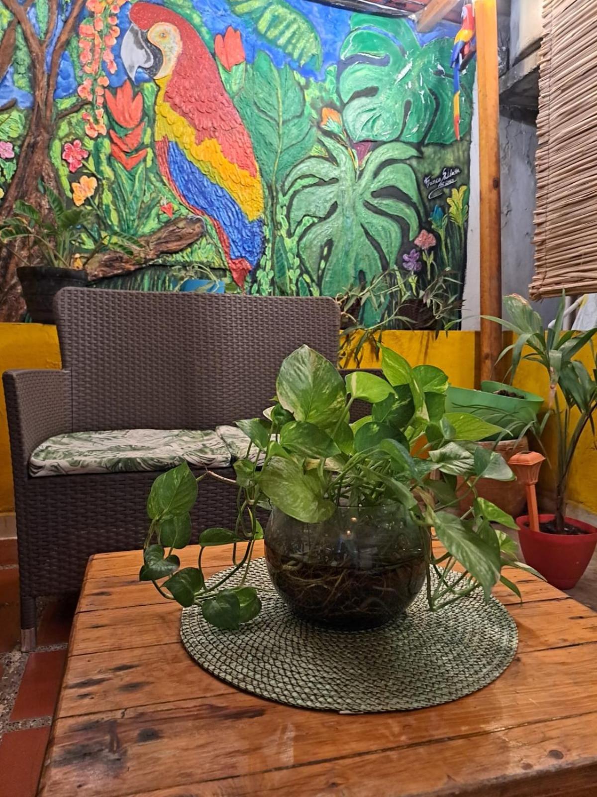 Shalom Adonai Casa de hóspedes