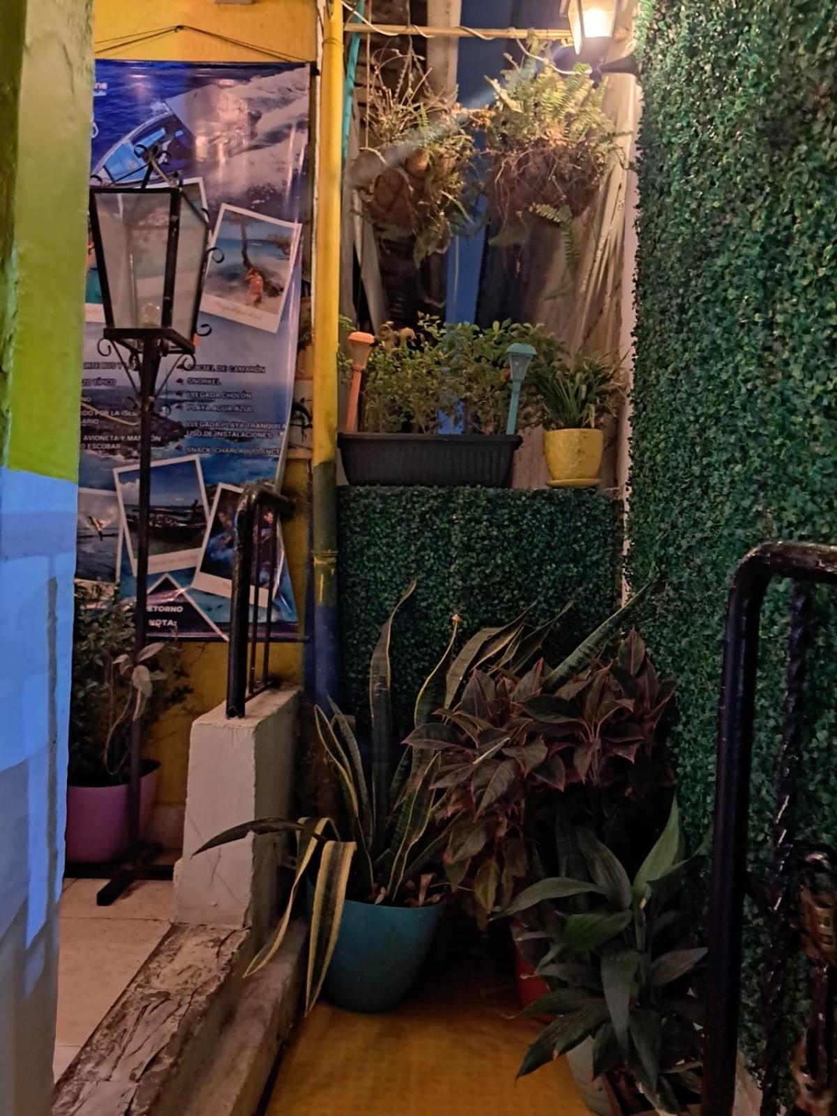 Casa de hóspedes Shalom Adonai